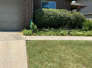 Samantha A.'s Bush Trimming service result