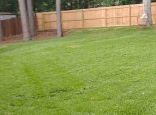 Charles B.'s turf care service result