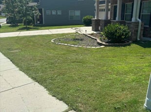 Diana M.'s grass cutting service result