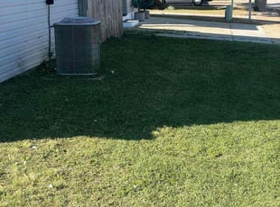 Bill M.'s grass maintenance service result