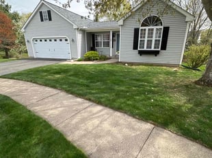 Joshua L.'s lawn care service result
