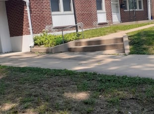 Vanessa V.'s Bush Trimming service result