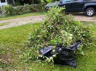 Ronni D.'s Bush Trimming service result