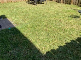 Brittany A.'s grass maintenance service result