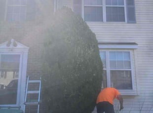 John G.'s turf care service result