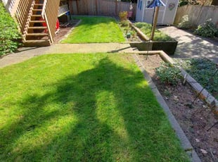 Kirstin S.'s lawn service service result