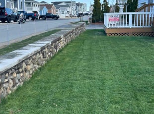Chance M.'s grass cutting service result