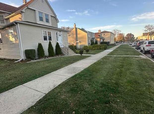 Andy P.'s lawn service service result