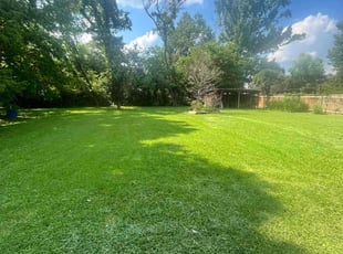 Domenico G.'s grass maintenance service result