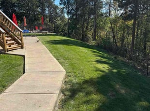 Lillian M.'s Cleanups service result