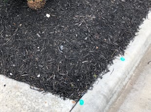 Diana O.'s Flower Bed Weeding service result