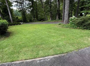 Jean H.'s lawn care service result