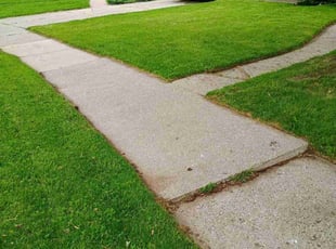 Paulette K.'s grass cutting service result
