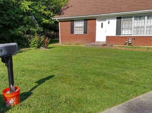 Taylor C.'s lawn maintenance service result
