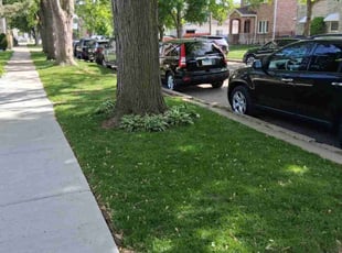 Tameka L.'s lawn maintenance service result