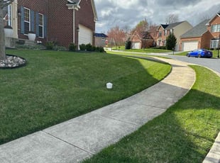 Jamieson M.'s lawn service service result