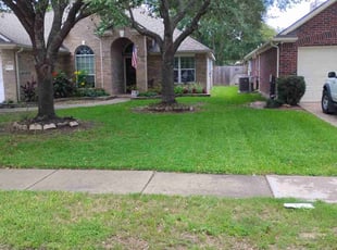 Dyllan C.'s lawn care services service result