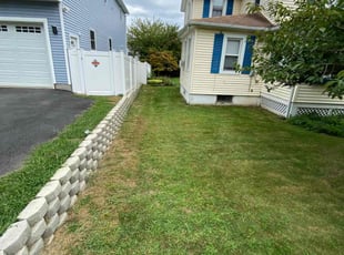 Sean I.'s turf care service result