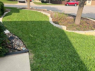 Angel F.'s grass maintenance service result