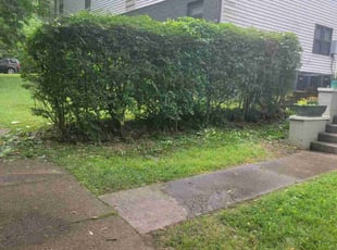 Kristen C.'s grass maintenance service result