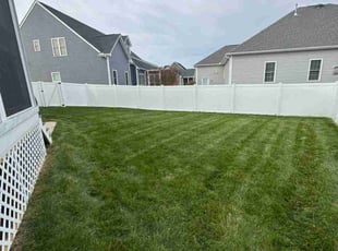 Nicola-Jane H.'s lawn service service result