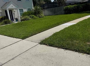 Kelvin F.'s lawn care service result