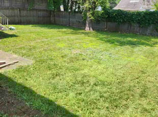 Georgette J.'s turf maintenance service result