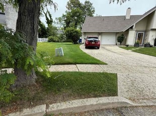 Ryan R.'s turf care service result