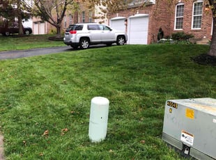 Chad B.'s grass maintenance service result