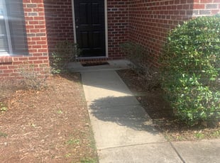 Leigh A.'s Bush Trimming service result