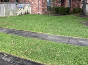 Tyrone R.'s grass cutting service result