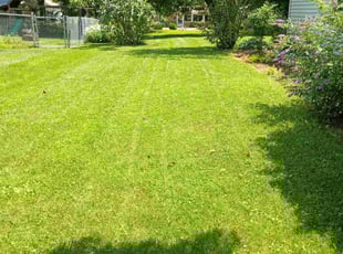 Gary M.'s grass cutting service result