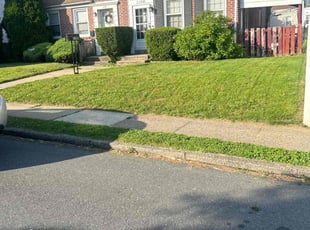 Jacquelin D.'s turf care service result