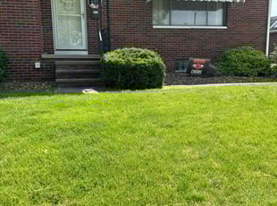 Kara C.'s Bush Trimming service result