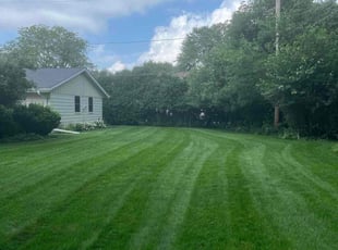 Carole L.'s grass cutting service result