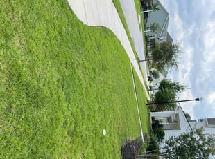 Raymona I.'s lawn maintenance service result
