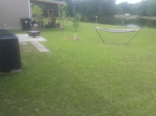 Clint C.'s Bush Trimming service result