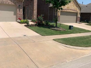 Ivory B.'s turf maintenance service result