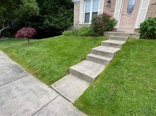 Jax R.'s grass maintenance service result