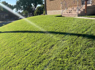 James M.'s lawn maintenance service result