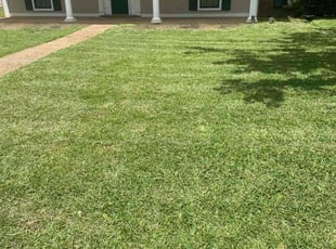Katherine M.'s lawn care services service result