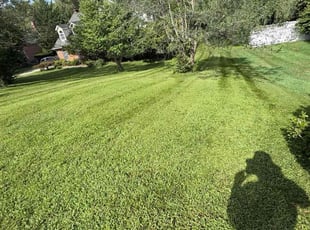 Amanda D.'s grass maintenance service result