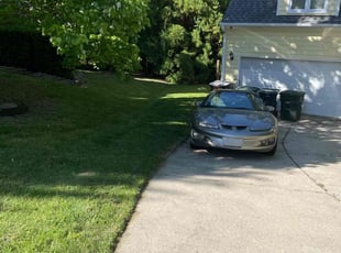 Celeste N.'s turf maintenance service result