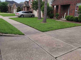 Karilyn M.'s lawn care services service result