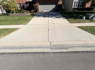 Ricky S.'s turf care service result