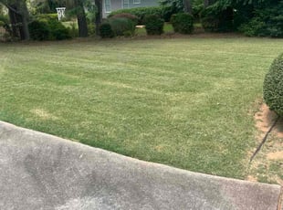 Robert S.'s lawn care service result