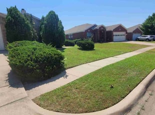 Patricia M.'s lawn care service result