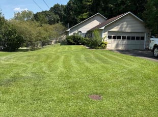 Connie K.'s grass cutting service result