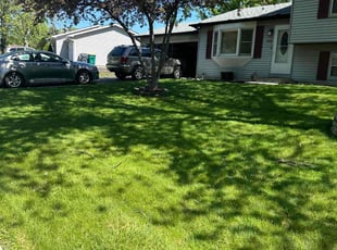 Veronica P.'s grass maintenance service result