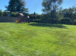 Ken W.'s turf care service result